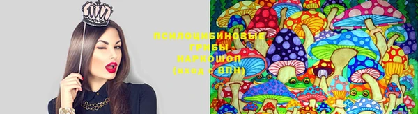 твердый Переславль-Залесский