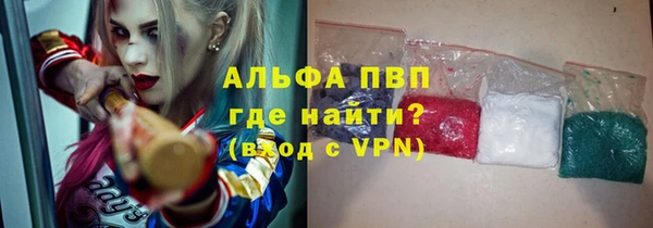 амф Пестово