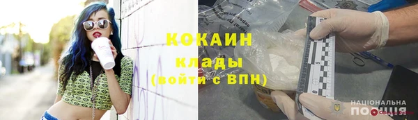 амф Пестово