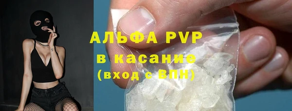 амф Пестово