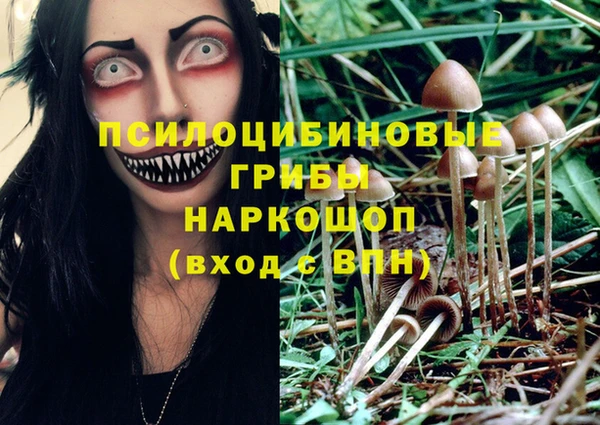 амф Пестово