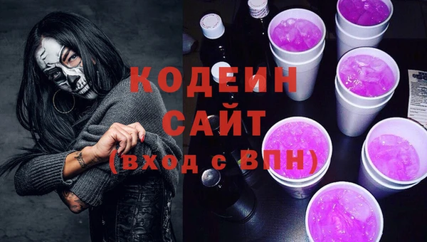 амф Пестово