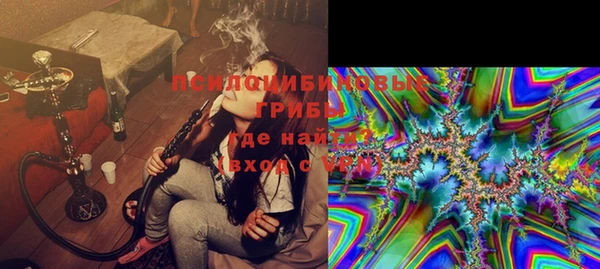 ГАЛЛЮЦИНОГЕННЫЕ ГРИБЫ Бутурлиновка