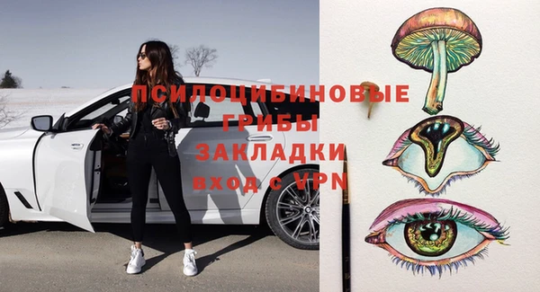 амф Пестово