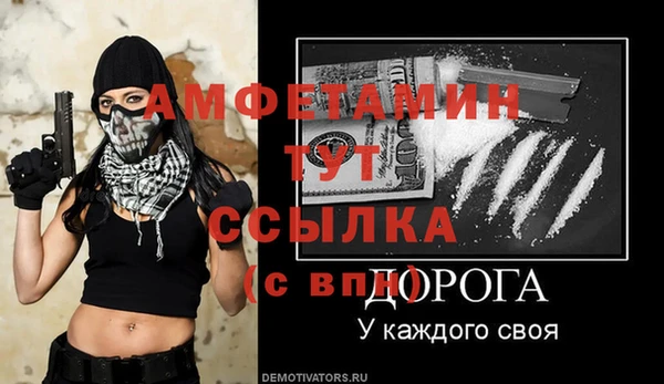 молекула духа Пересвет