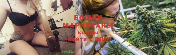 молекула духа Пересвет