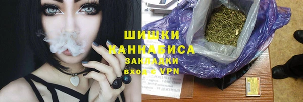 молекула духа Пересвет