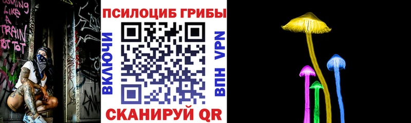 Псилоцибиновые грибы прущие грибы  где можно купить   Белая Холуница 